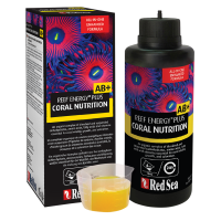 Reef Energy AB Plus